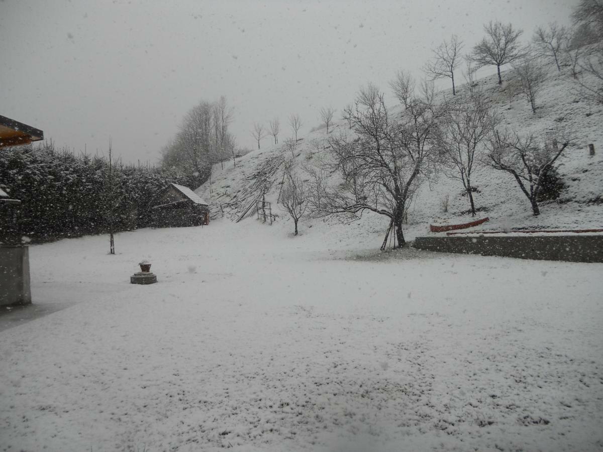 Bosili * Mojstrana
