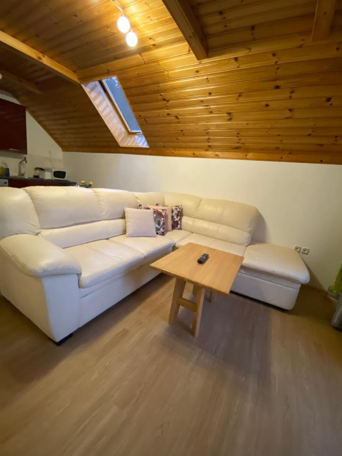 Apartment Bosili Mojstrana